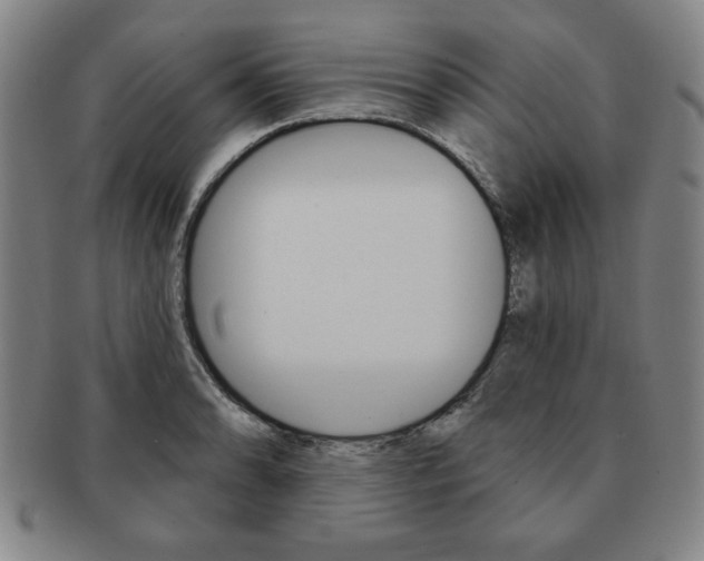 X0000091641086200708230943