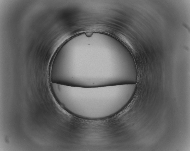 X0000091641087200708230943