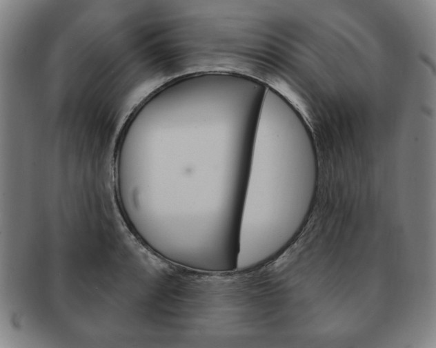 X0000091641088200708230943