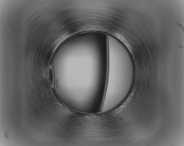 X0000091641089200708230943