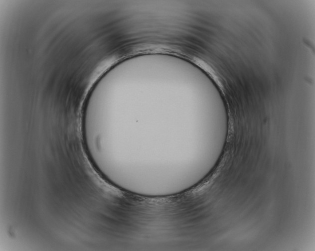 X0000091641090200708230943