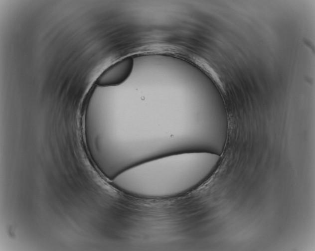 X0000091641091200708230943