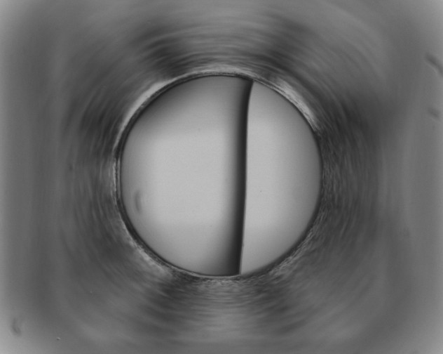 X0000091641092200708230943