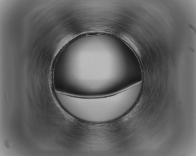 X0000091641093200708230943