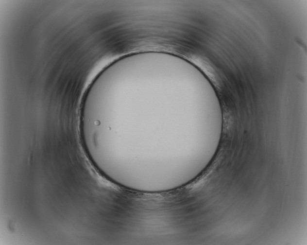 X0000091641094200708230943