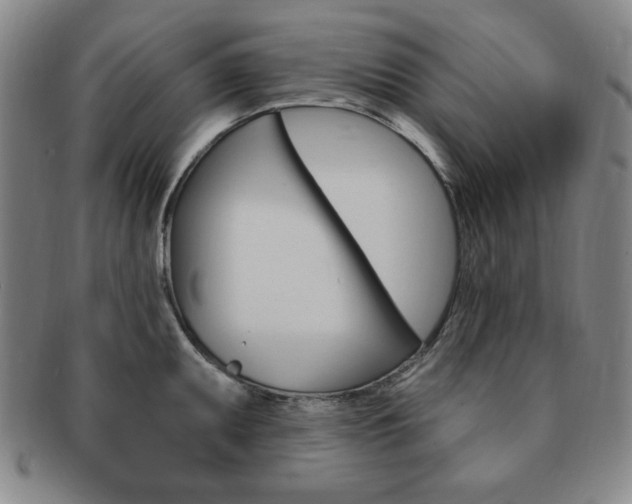 X0000091641095200708230943