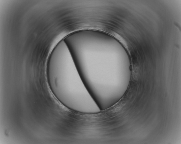 X0000091641096200708230943