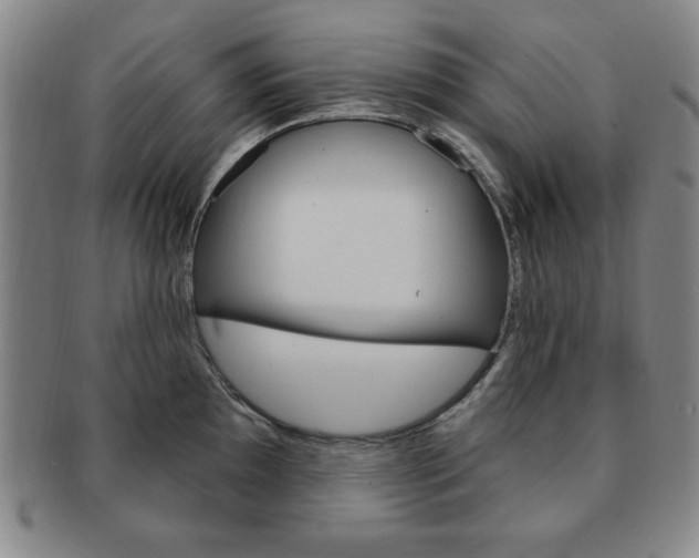 X0000091641097200708230943