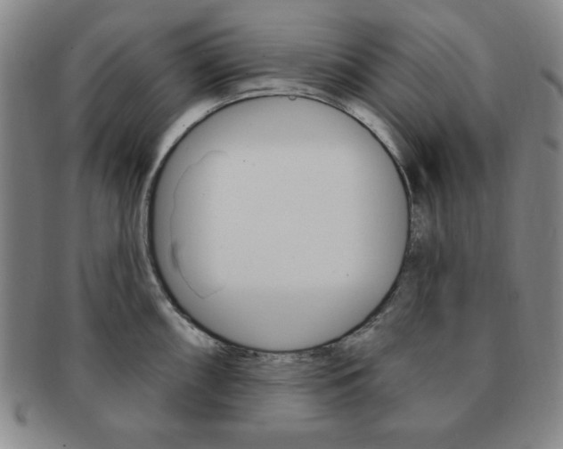 X0000091641098200708230943