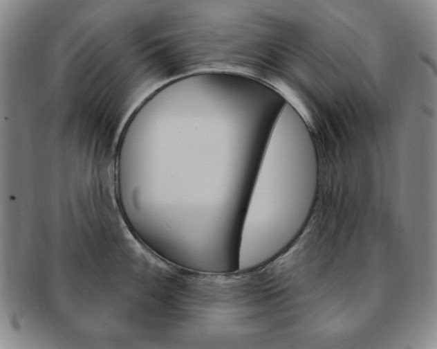 X0000091641100200708230943