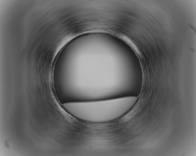X0000091641101200708230943