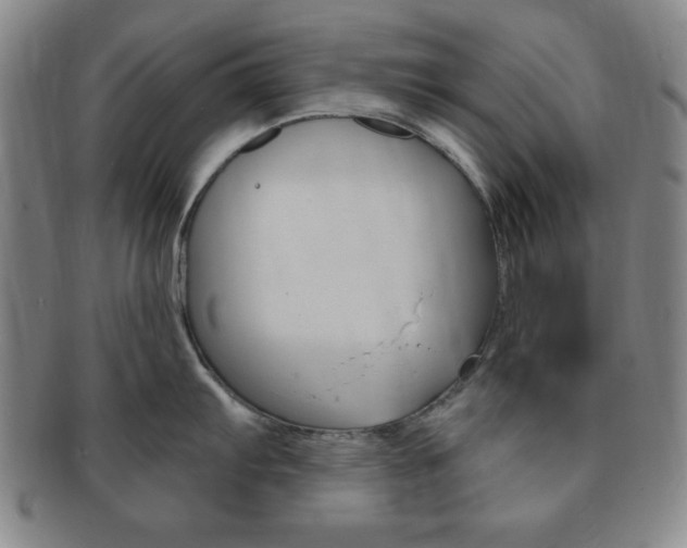 X0000091641103200708230943