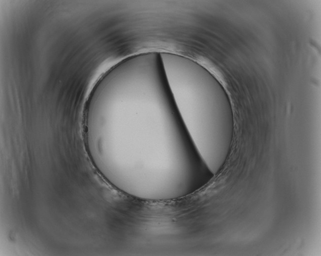 X0000091641104200708230943