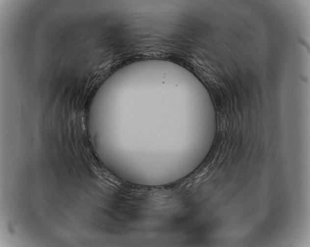 X0000091641106200708230942