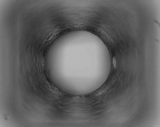 X0000091641107200708230942
