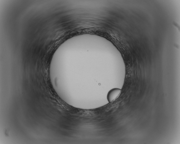 X0000091641109200708230942