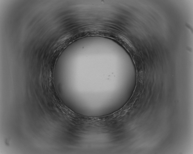 X0000091641111200708230942
