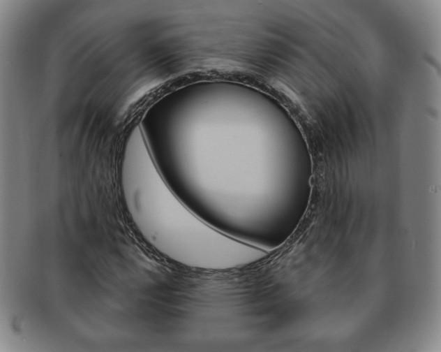 X0000091641112200708230942