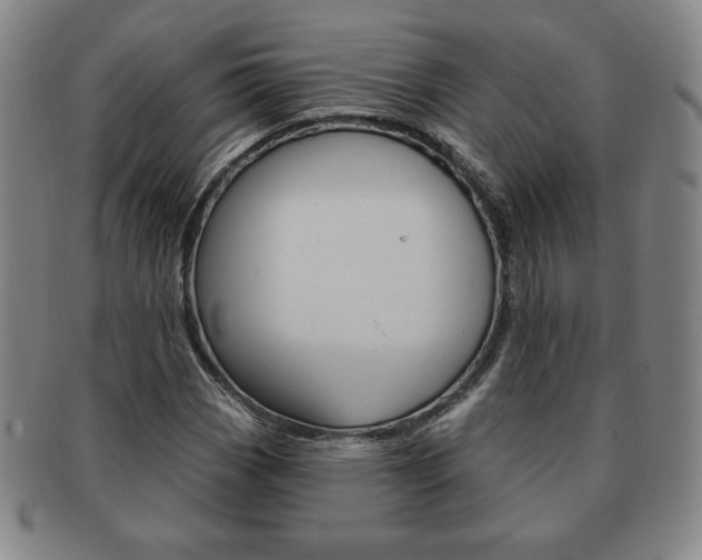 X0000091641113200708230942