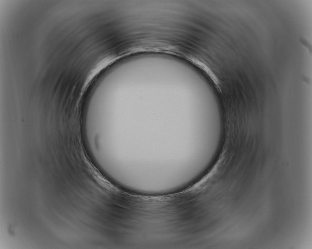 X0000091641114200708230942