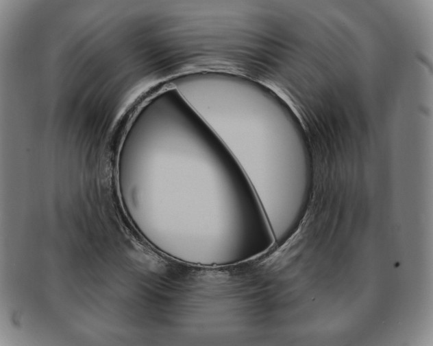 X0000091641115200708230942