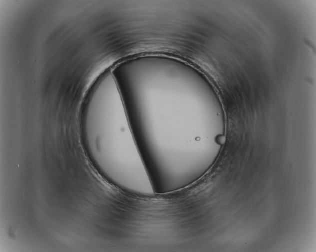 X0000091641119200708230942