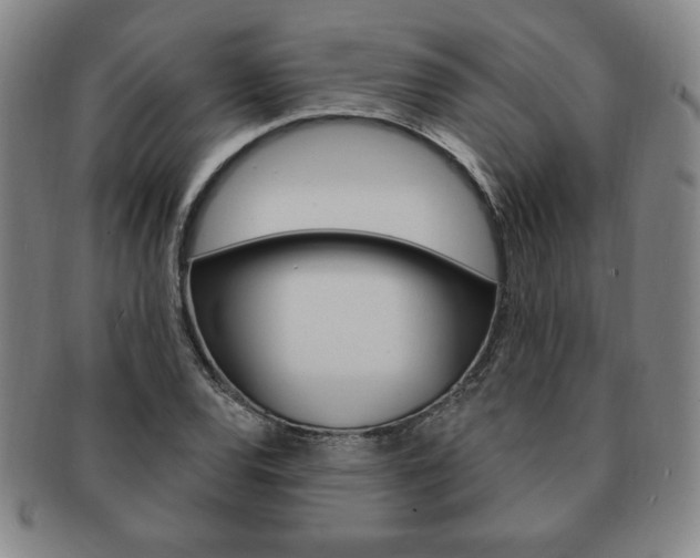 X0000091641120200708230942