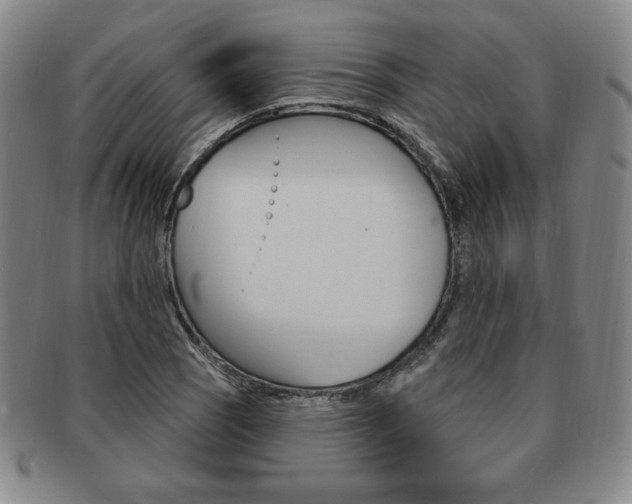 X0000091641121200708230942