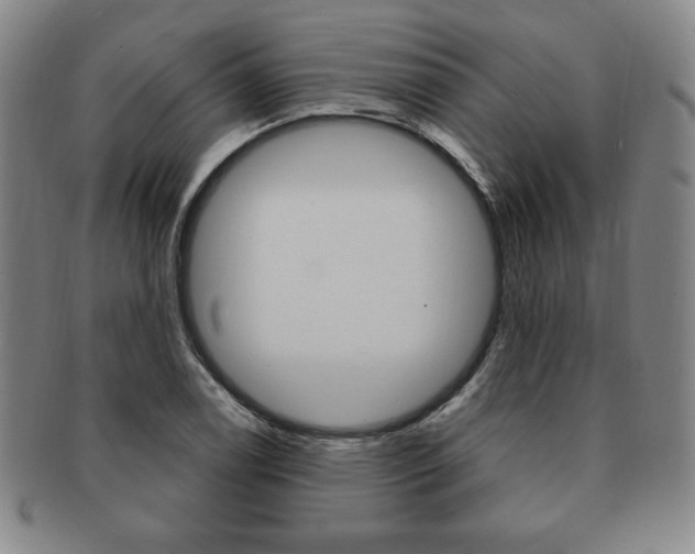 X0000091641122200708230942