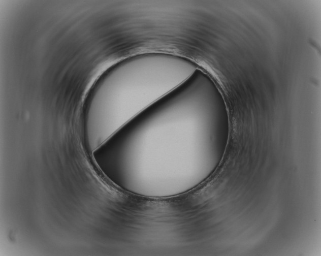 X0000091641123200708230942