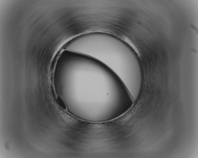 X0000091641124200708230942