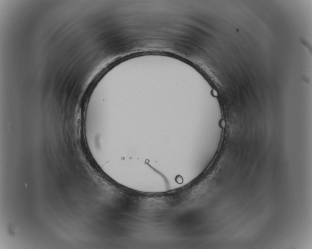 X0000091641126200708230942