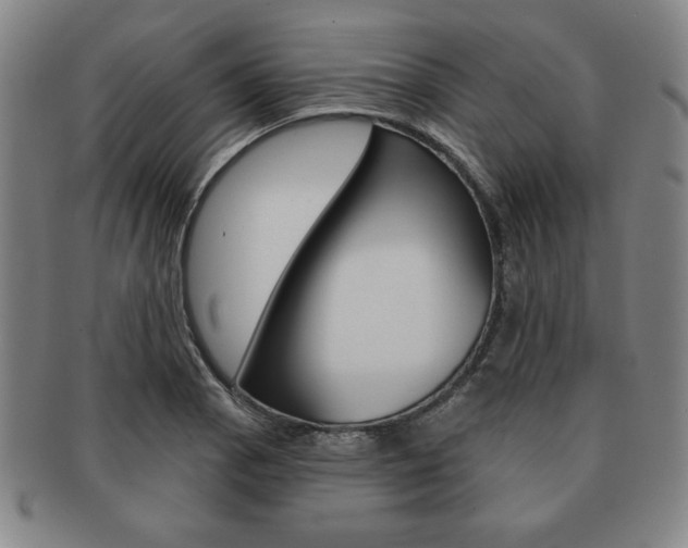 X0000091641129200708230942