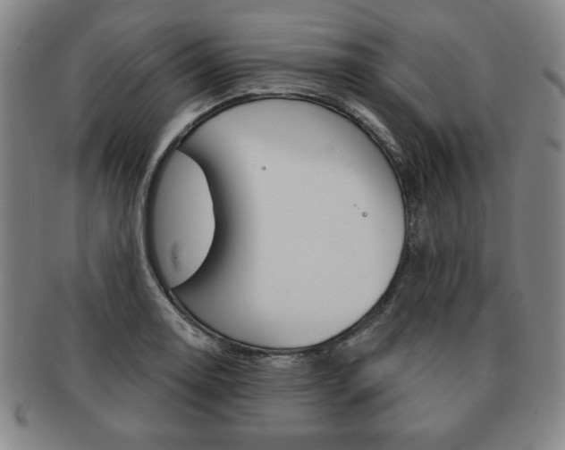 X0000091641130200708230942
