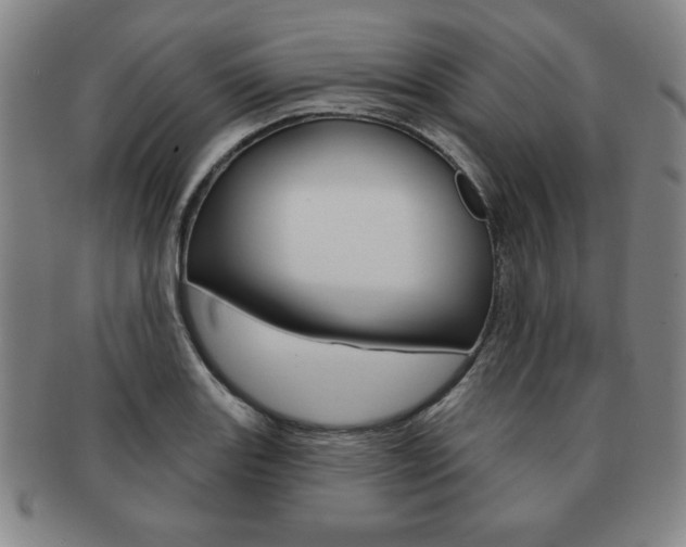 X0000091641131200708230942