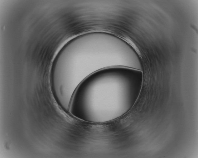 X0000091641132200708230942