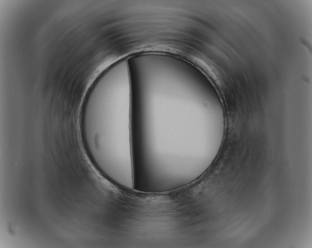 X0000091641133200708230942