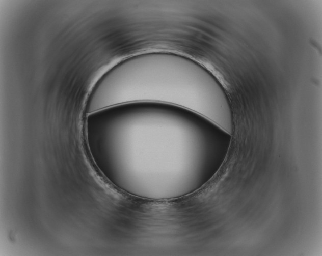 X0000091641134200708230942