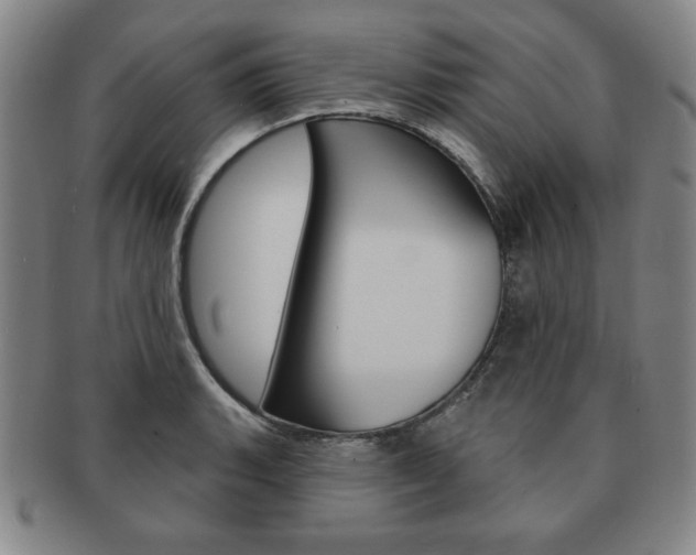 X0000091641135200708230942