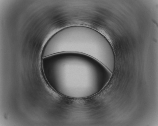 X0000091641136200708230942