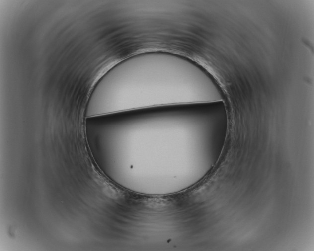 X0000091641137200708230942