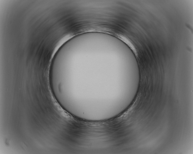 X0000091641138200708230942