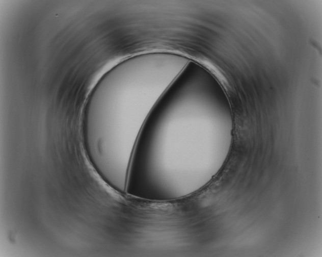 X0000091641142200708230942