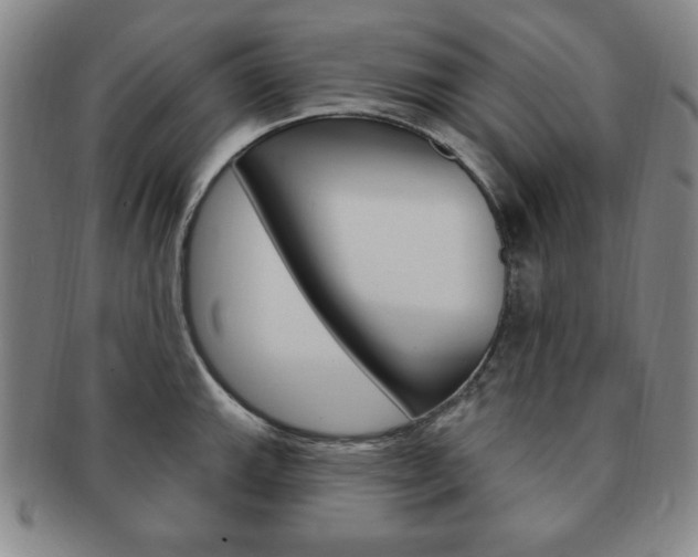 X0000091641143200708230942