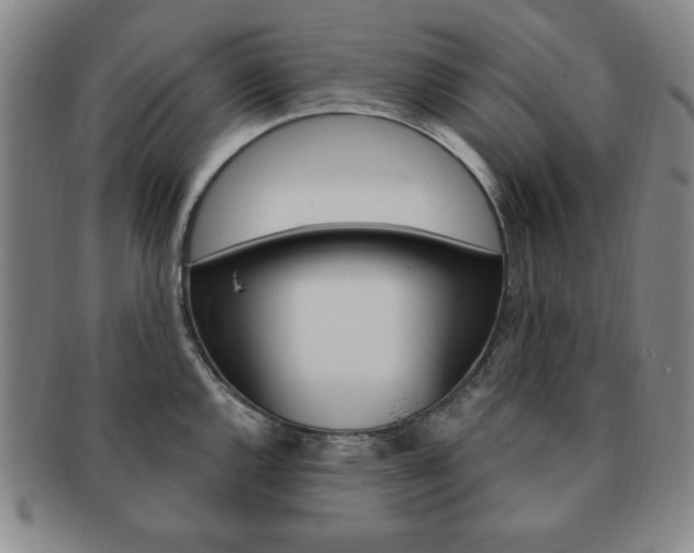 X0000091641144200708230942