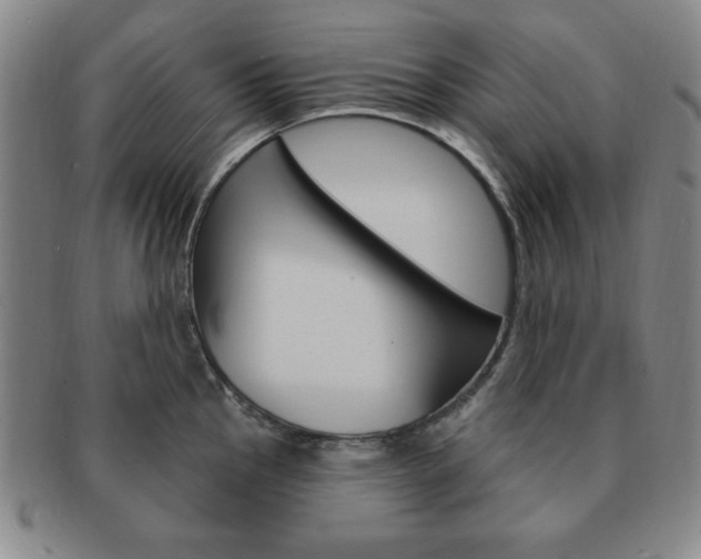 X0000091641145200708230943