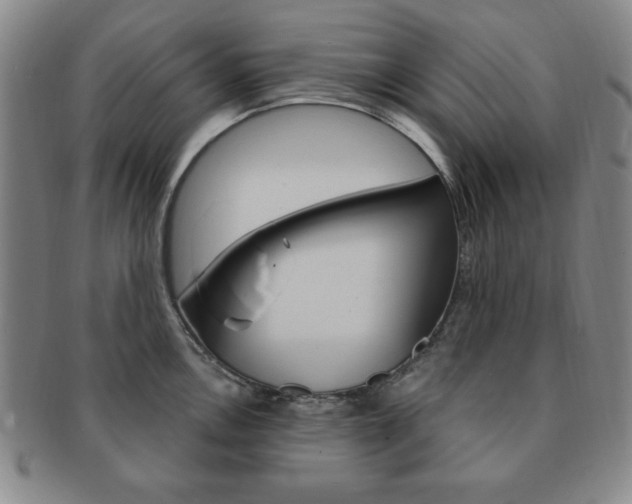 X0000091641146200708230943