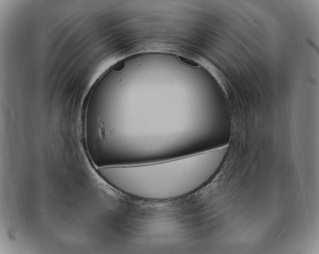 X0000091641147200708230943