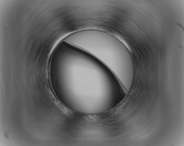 X0000091641148200708230943