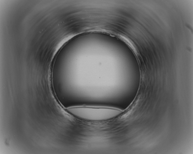 X0000091641149200708230943